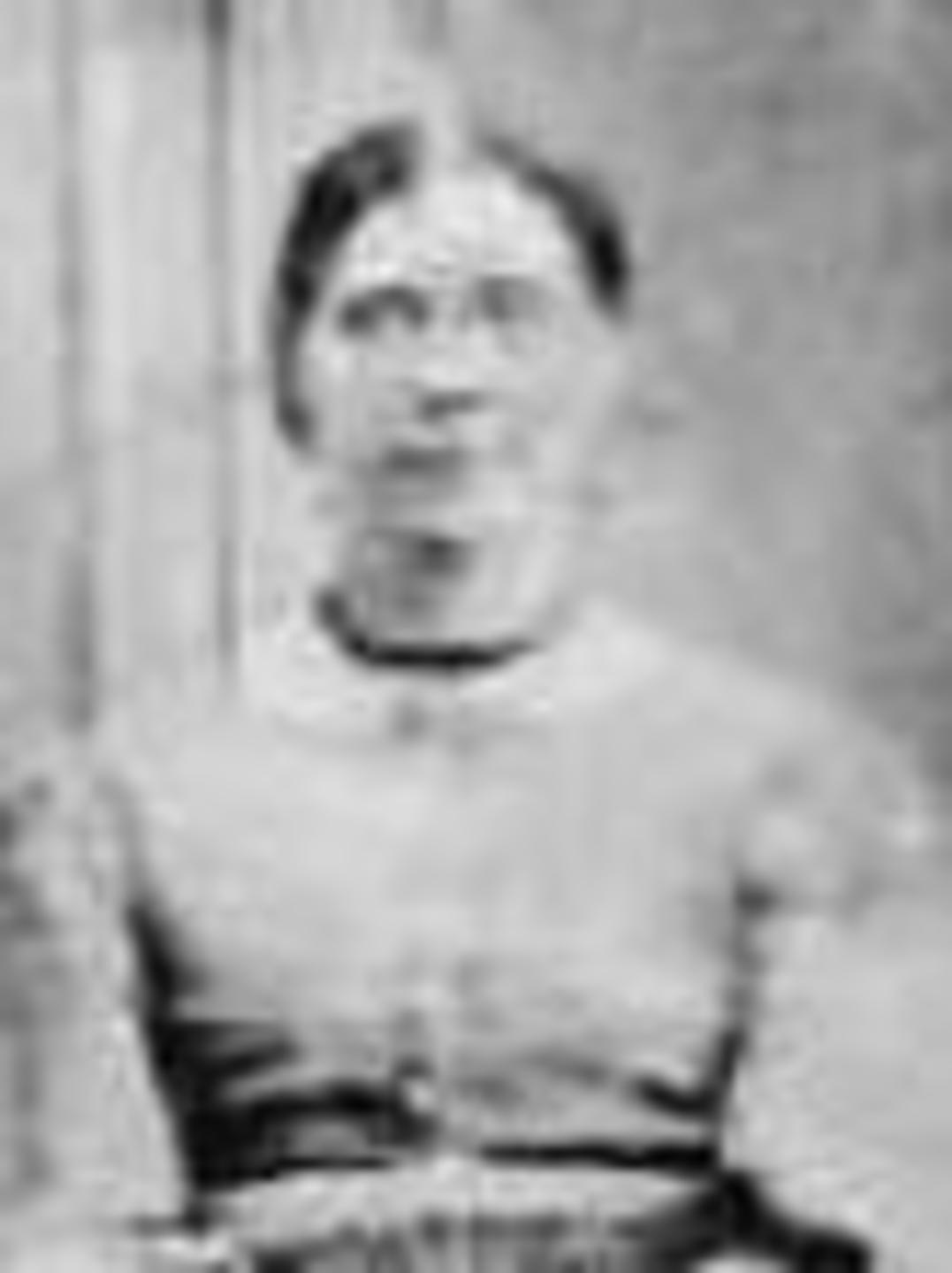 Phebe Ann Campbell (1820 - 1895) Profile